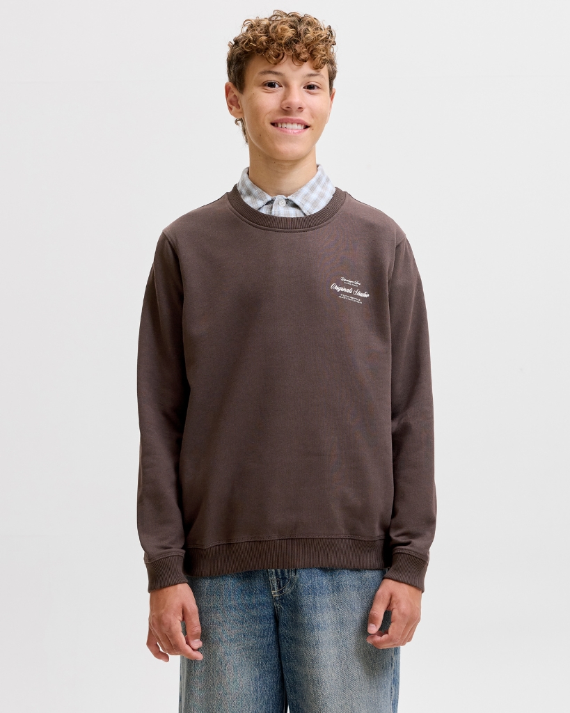 Jack Jones Norrebro Sweatshirt Brun Jr