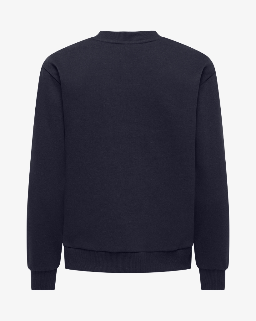 JDY Paris Sweatshirt Blå